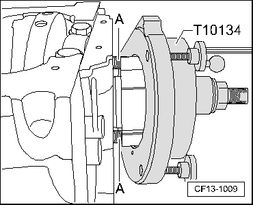 CF13-1009